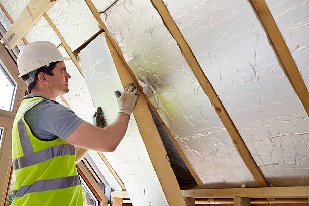 Best Blown-in Insulation in Tickfaw, LA